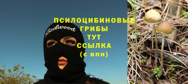 кокаин колумбия Заводоуковск