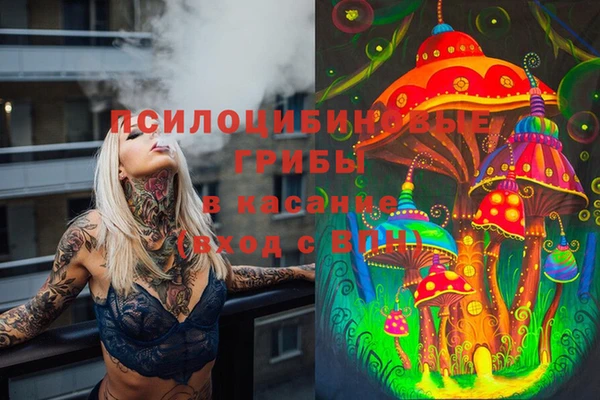 кокаин колумбия Заводоуковск