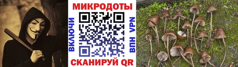 Псилоцибиновые грибы MAGIC MUSHROOMS  Купить закладки  Кинель 